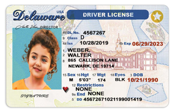 New Delaware Driver License Template PSD