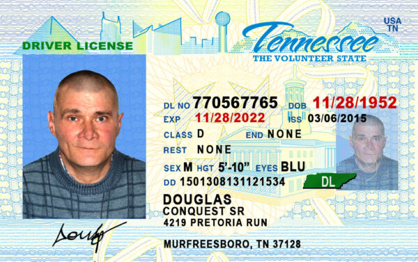 Tenessee Driver License Template PSD