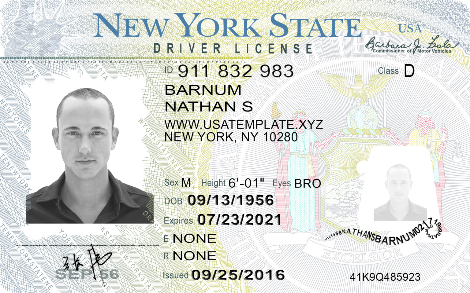 New York Driving License PSD Template