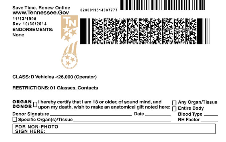 Tenessee Driver License Template PSD