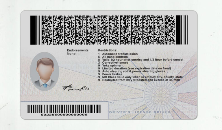 Virginia Driver License Template PSD